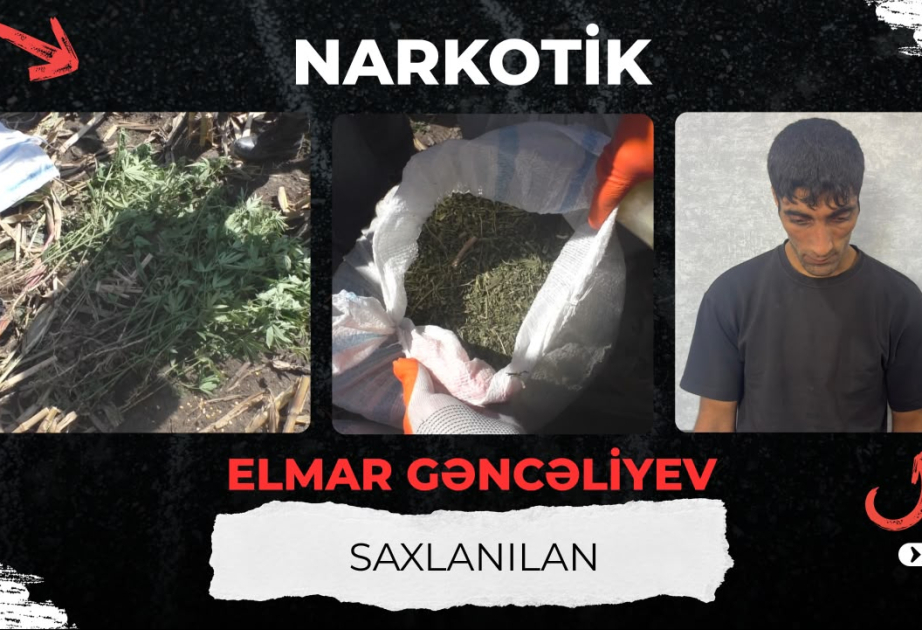 Balakəndə 21 kiloqramdan çox narkotik vasitə aşkarlanıb